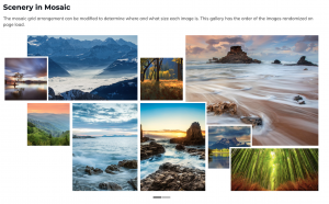 Photo Gallery Plugins for WordPress | Supsystic
